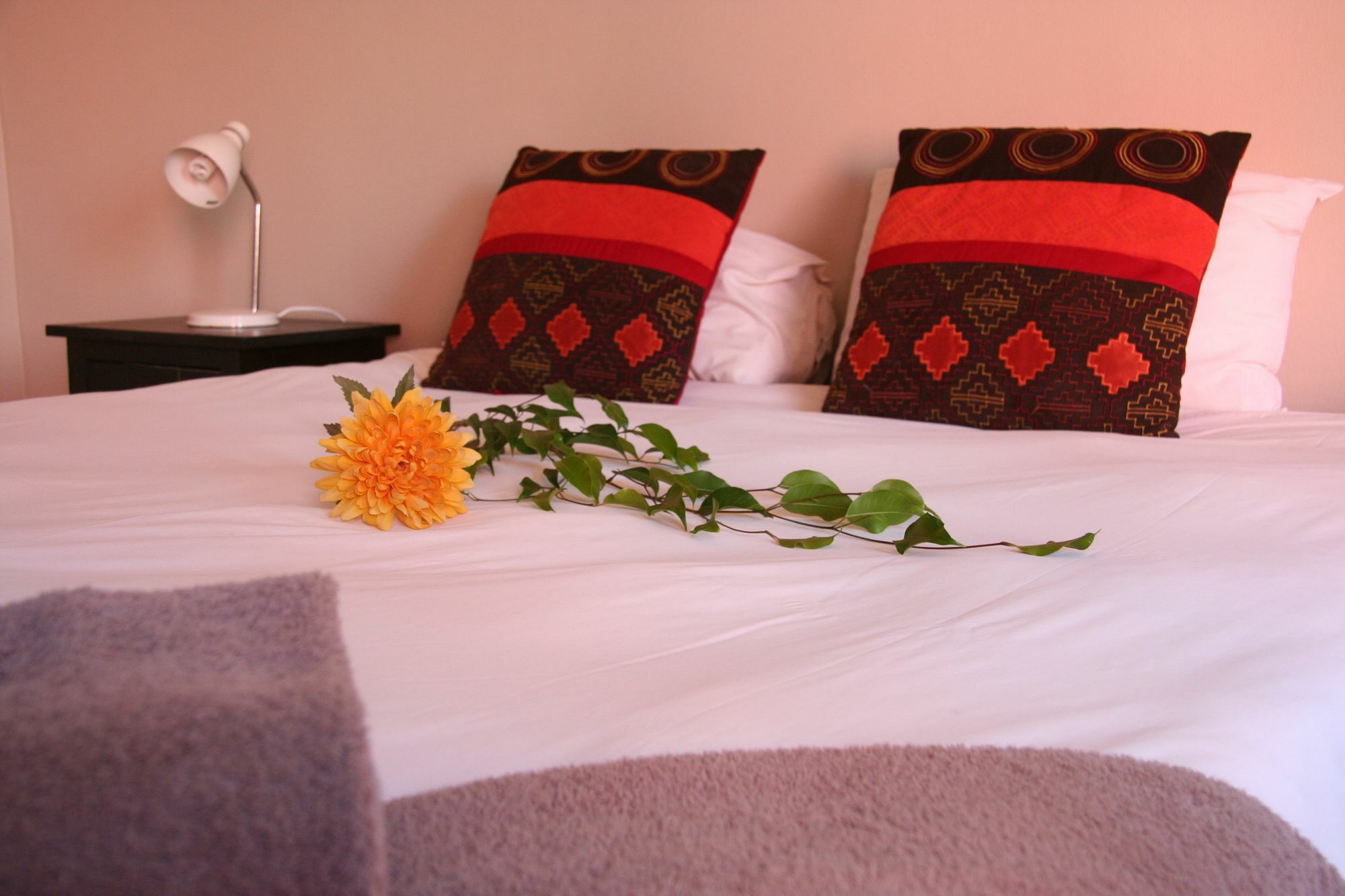 Dunedin Star Guesthouse ซวาคอปมุนด์ ภายนอก รูปภาพ